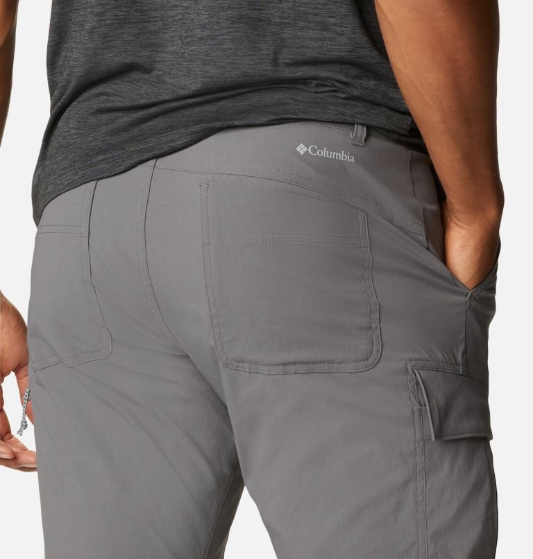 Pantaloni Columbia Newton Ridge Convertible Barbati Gri | NJA91Q8ZM