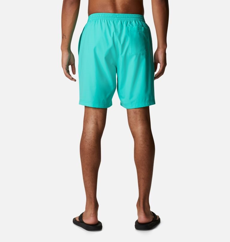 Pantaloni Scurti Columbia Summertide Stretch Barbati Turcoaz | JKQ9MS078