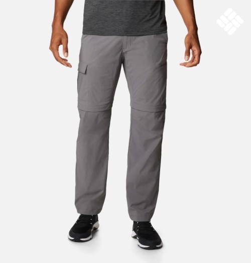 Pantaloni Columbia Newton Ridge Convertible Barbati Gri | NJA91Q8ZM